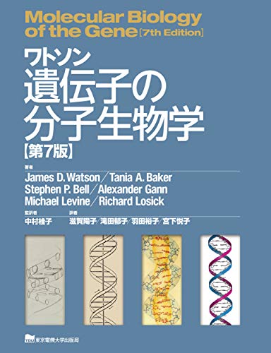 遺伝子の分子生物学 1987年発行 WebOPAC Local書誌詳細
